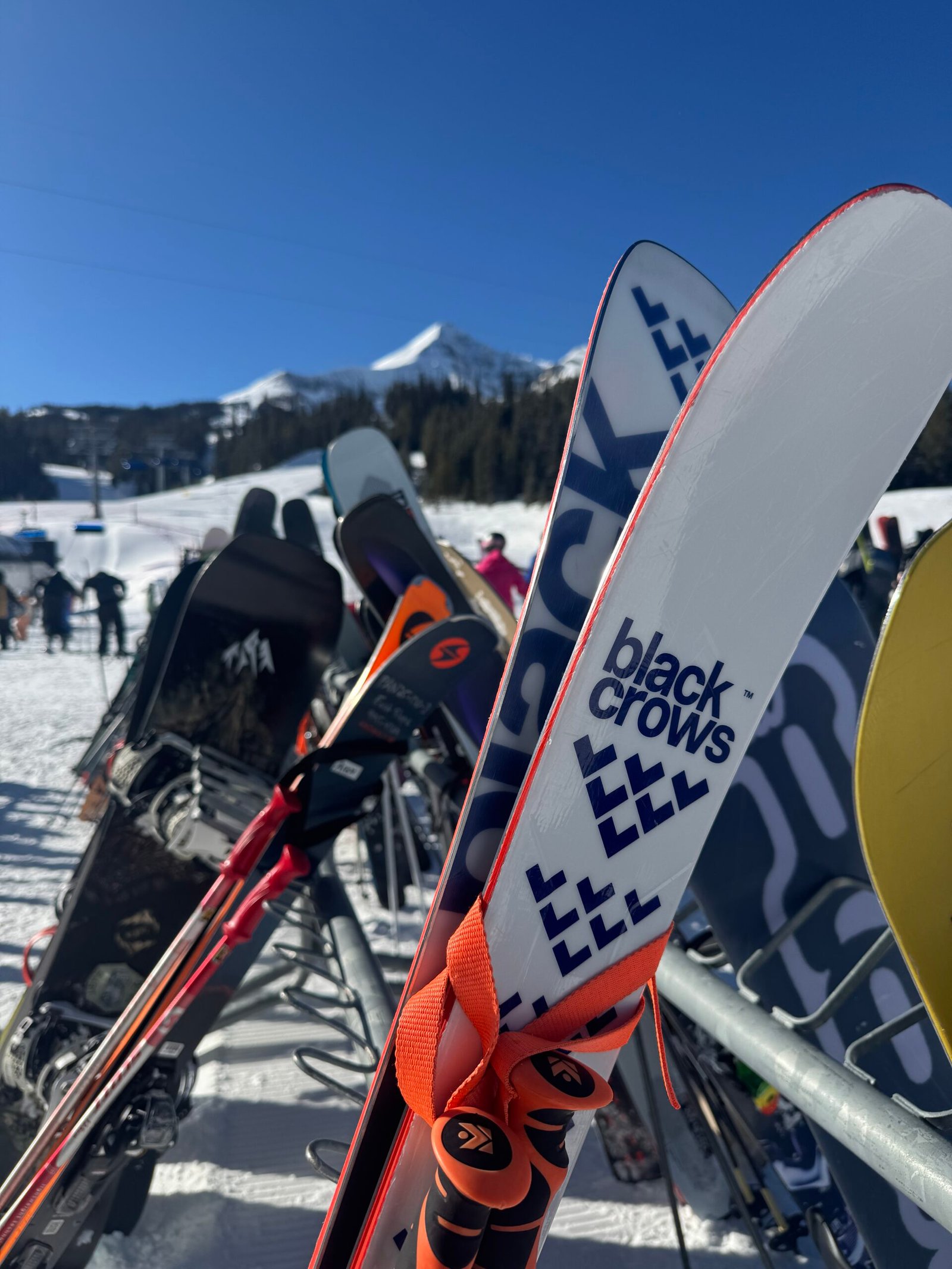 Morning Light in Acadia